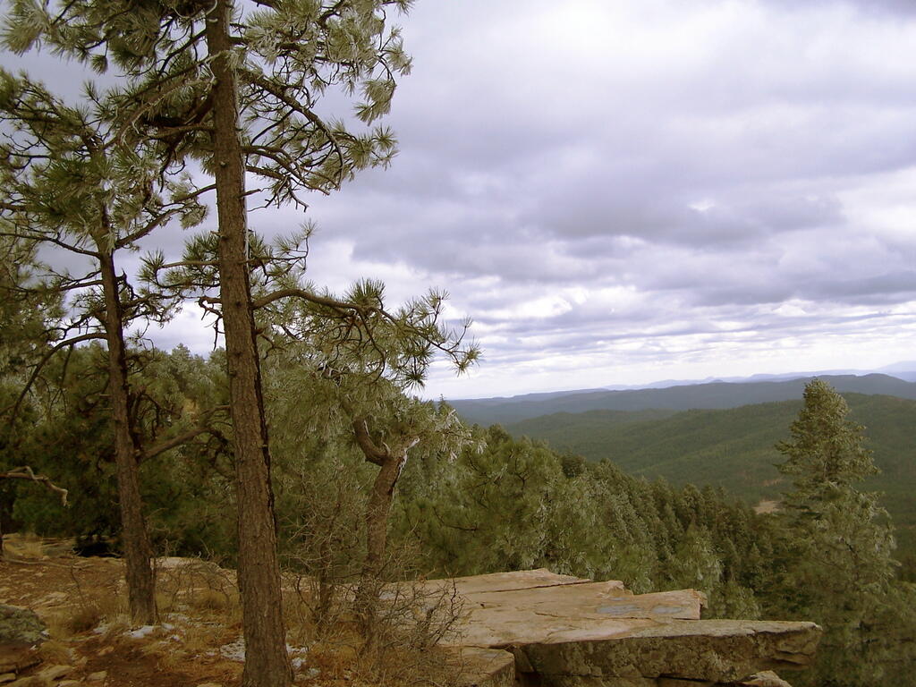 Photo: On Edge