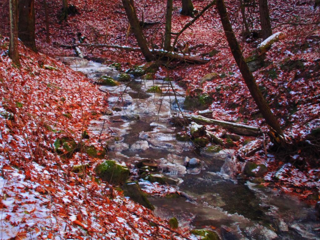 Photo: Creek Running Down to the Falls Photo: Creek Running Down to the Falls