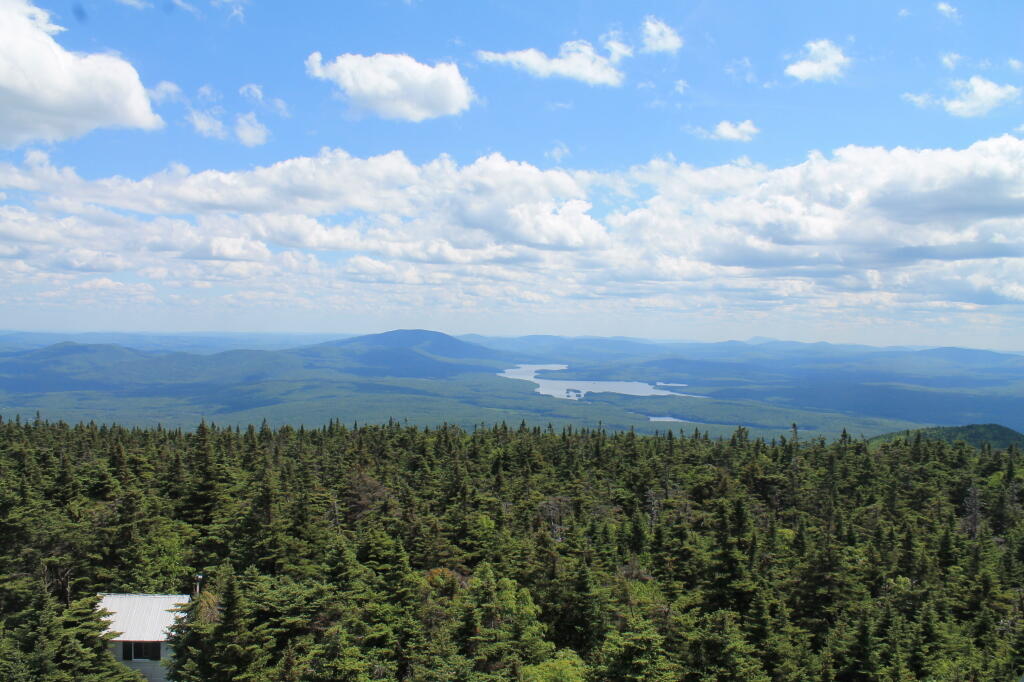 Roadside Camping in Green Mountains National Forest