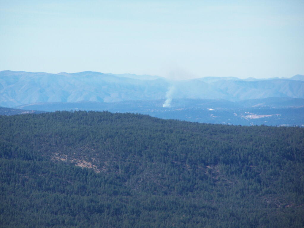 Photo: Controlled Burn
