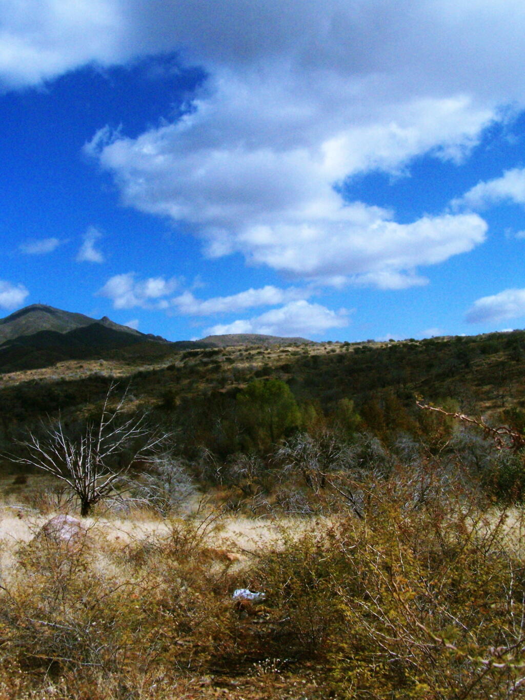Photo: Clouds and Land