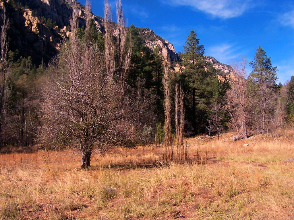 Photo: Majestic Valley