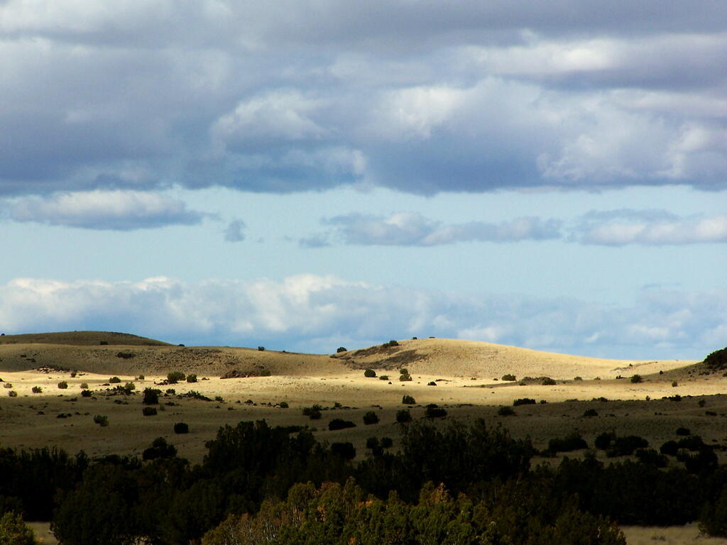 Photo: Foreign land