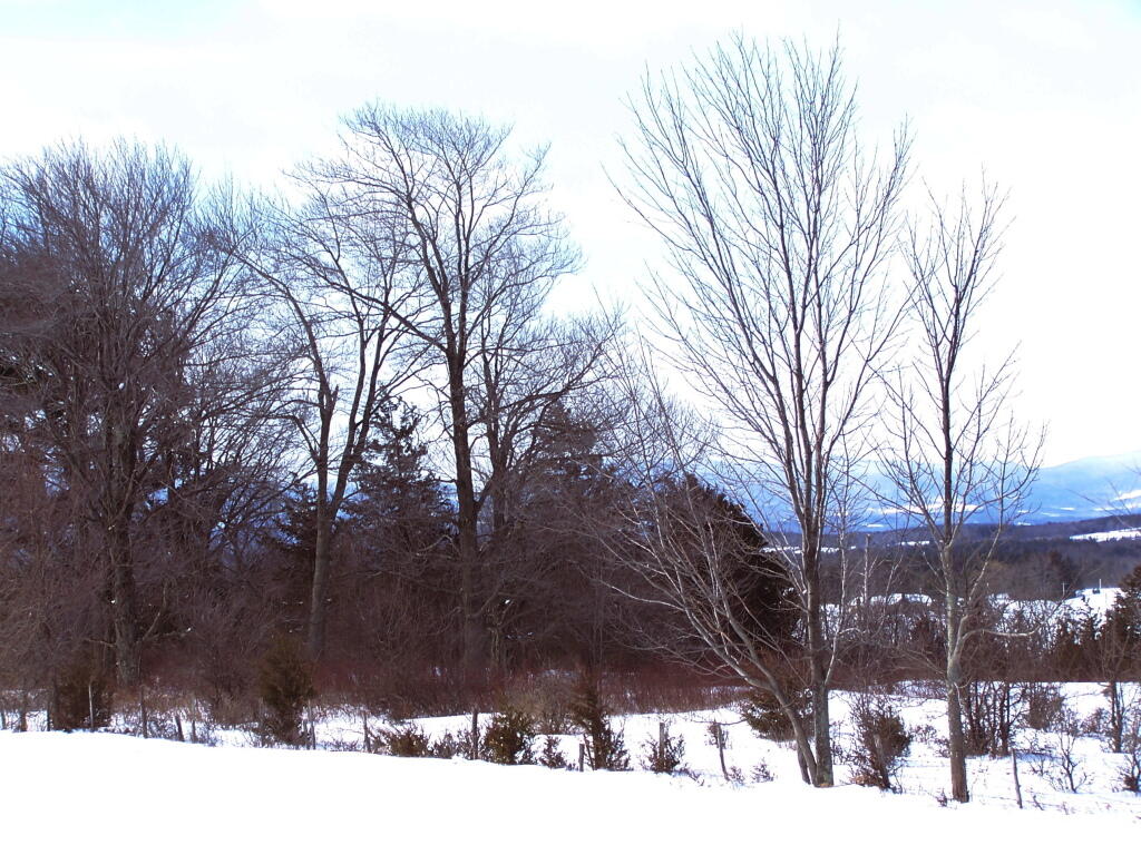 Photo: Snow Again