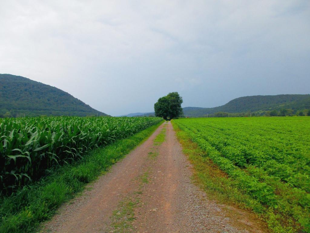 Photo: Before the Thunderstorm