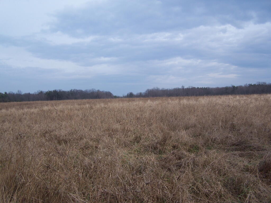Photo: Snow Field