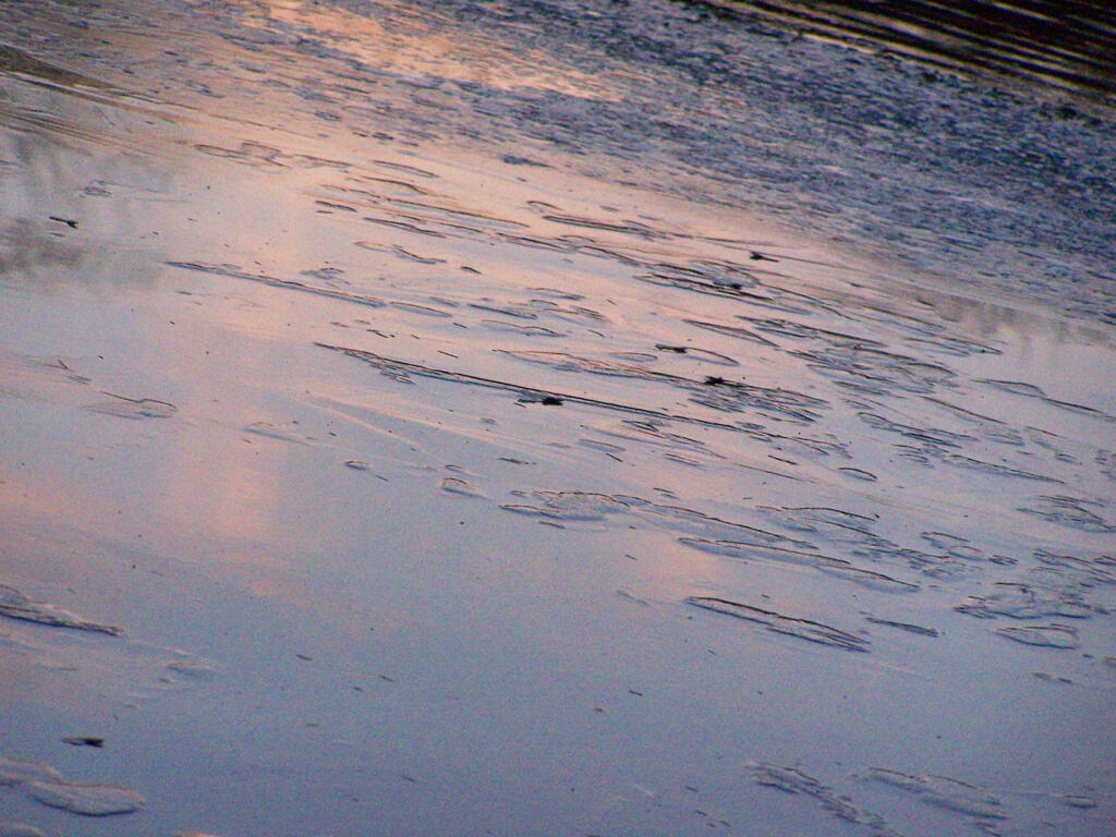 Photo: Colored Ice