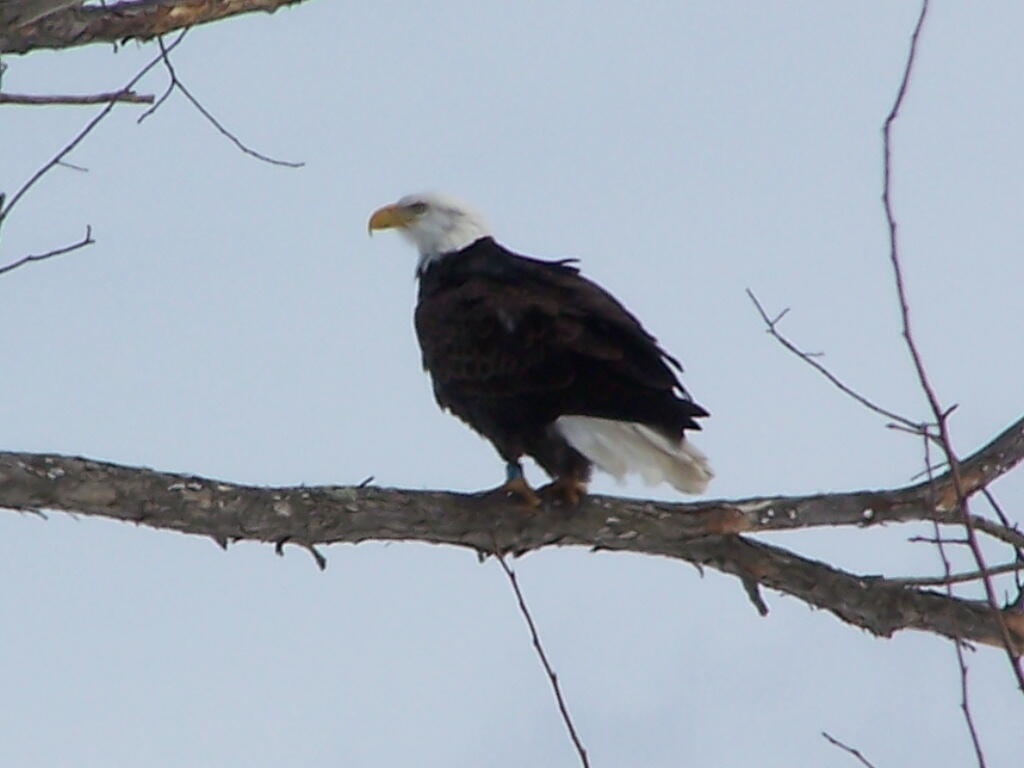 Photo: Hey, What Are You Looking At?