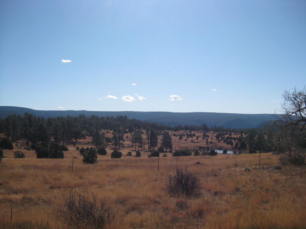 Photo: Public Grazing Lands