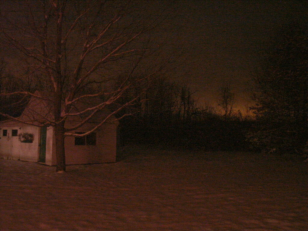 Photo: Shed