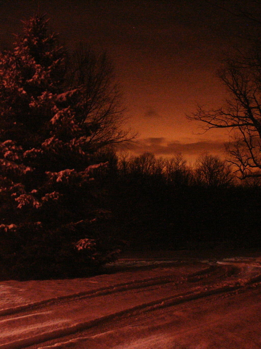 Photo: Driveway