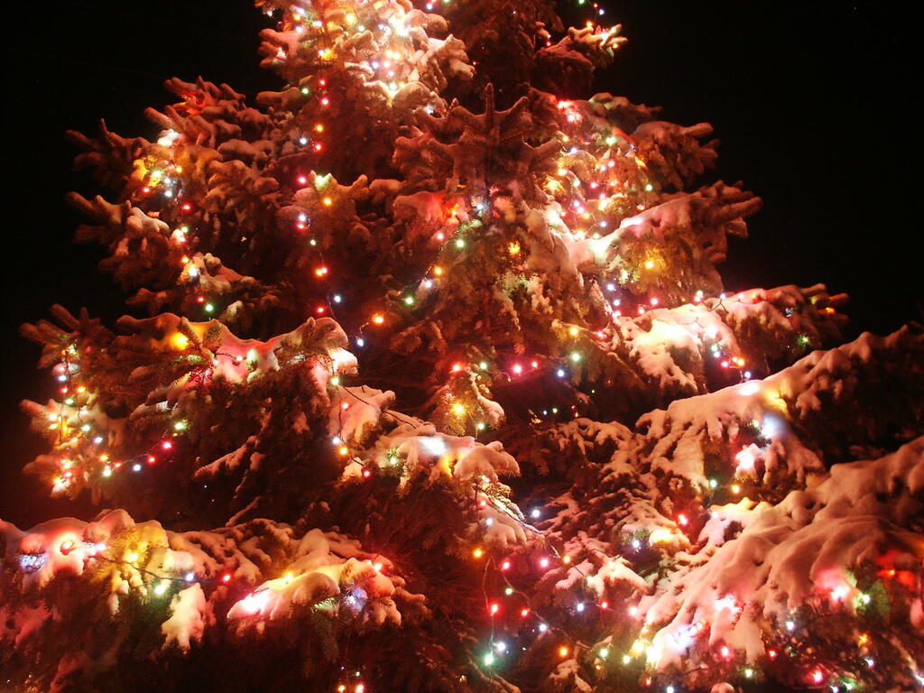 Photo: Christmas Lights