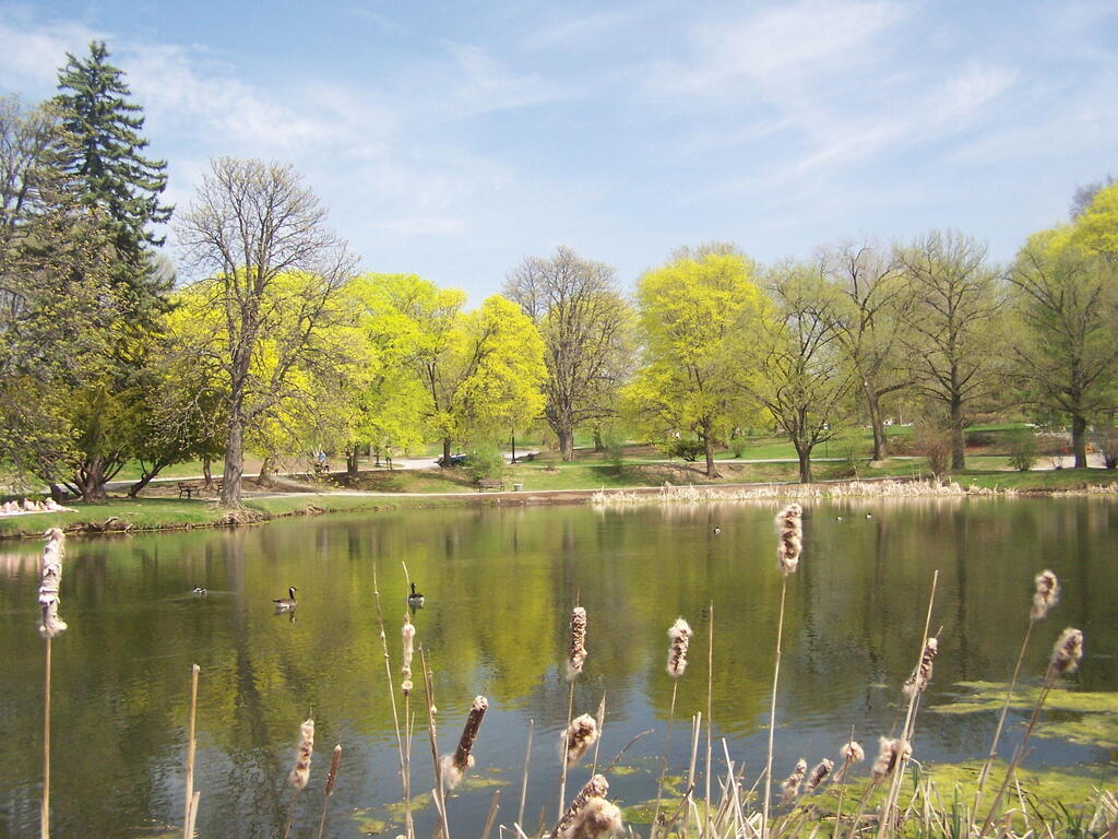 Photo: Spring at Washington Park Lake