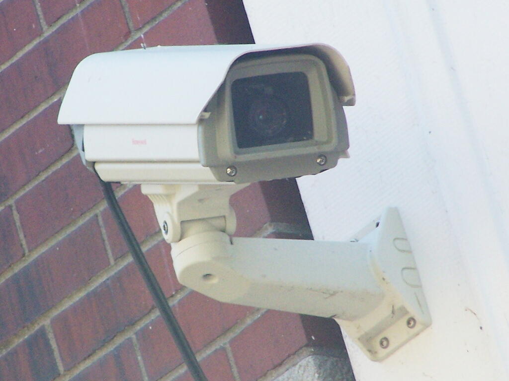 Photo: Being Watched