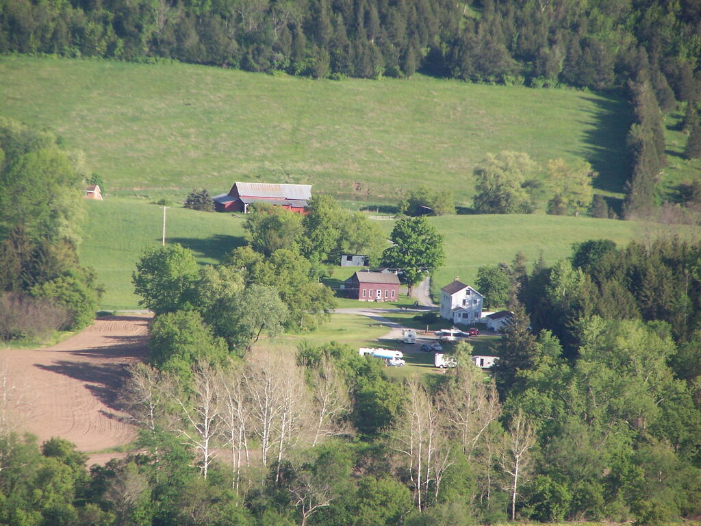 Photo: Farm Surrounded By Trees