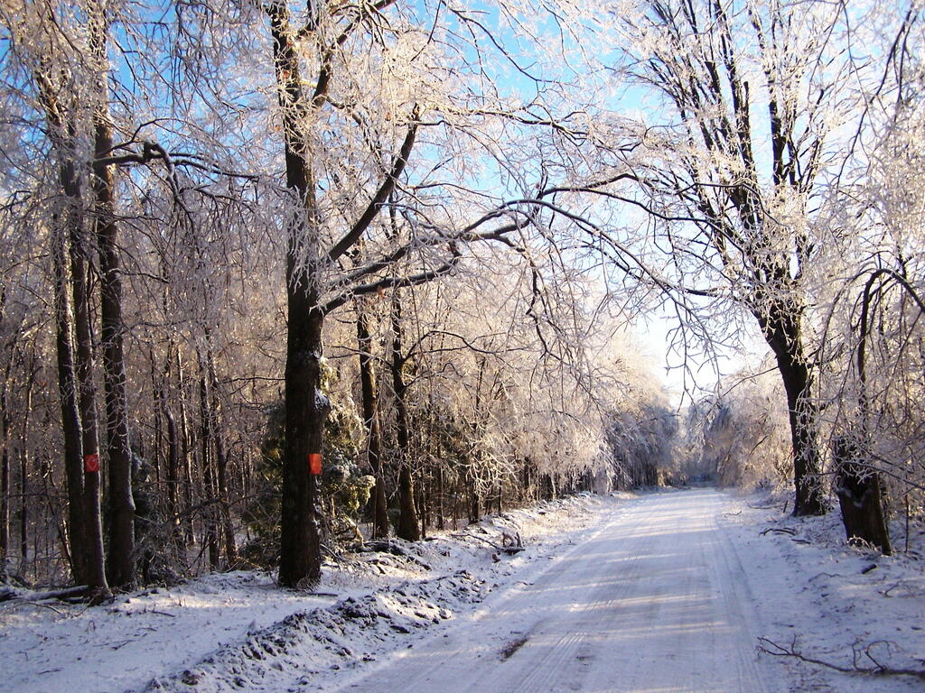 Photo: Icy Ryan Road