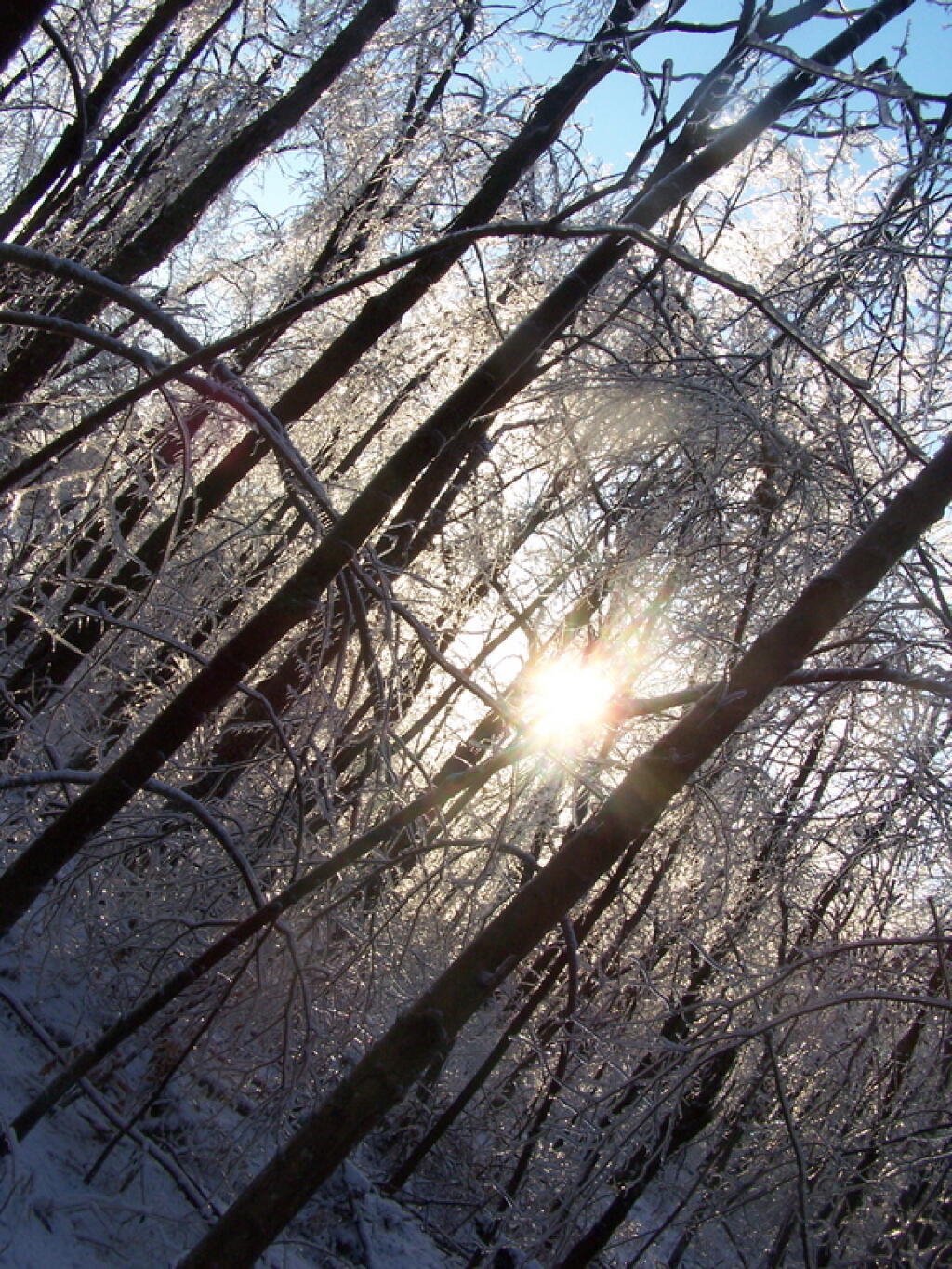 Photo: Ice Beauty