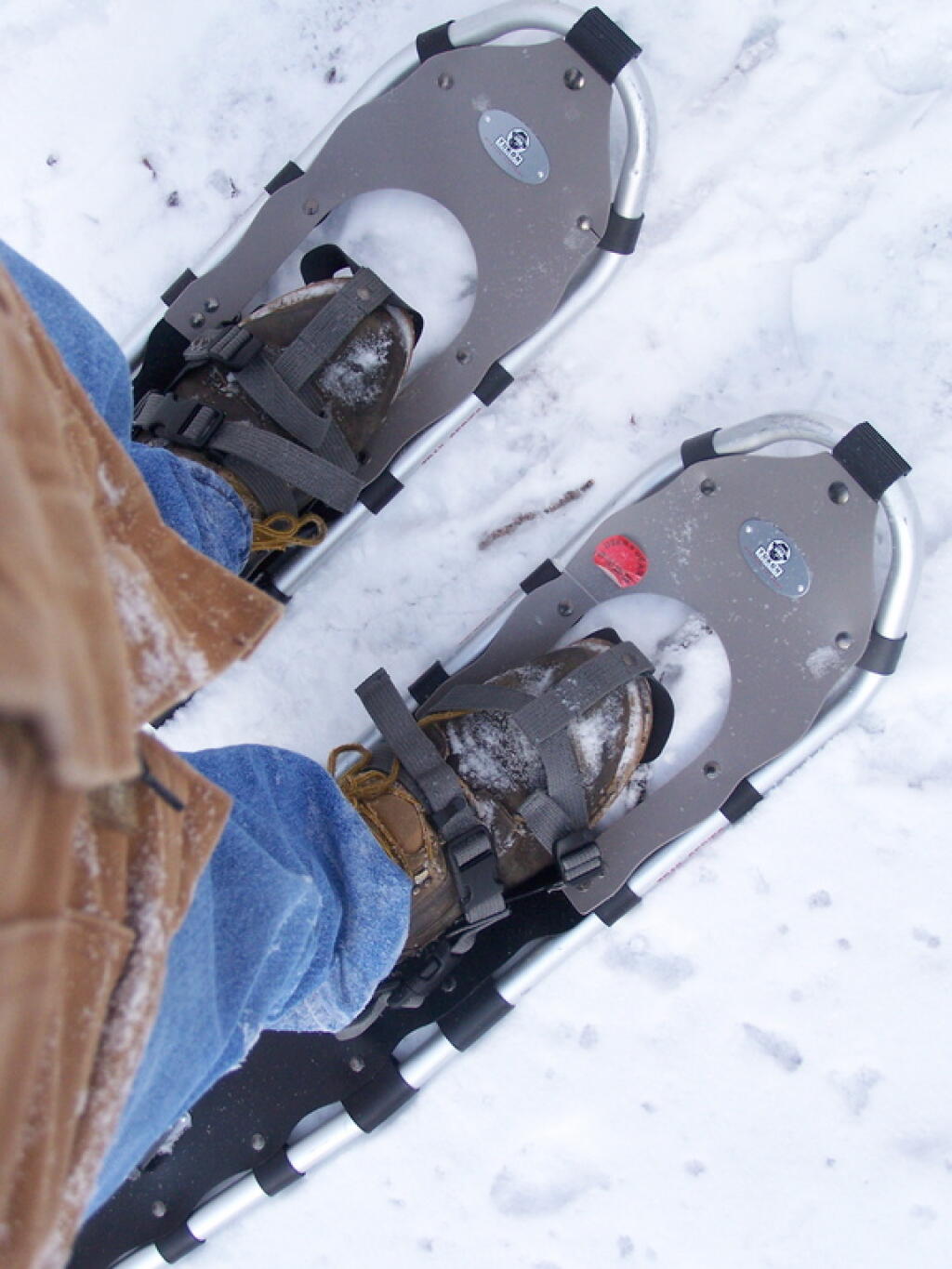 Photo: Snow Shoes
