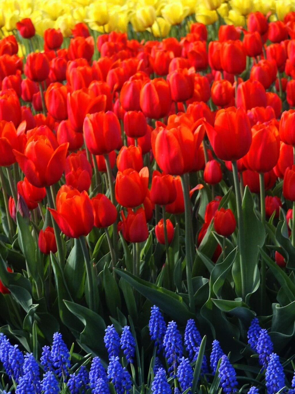 Photo: Burst of Color