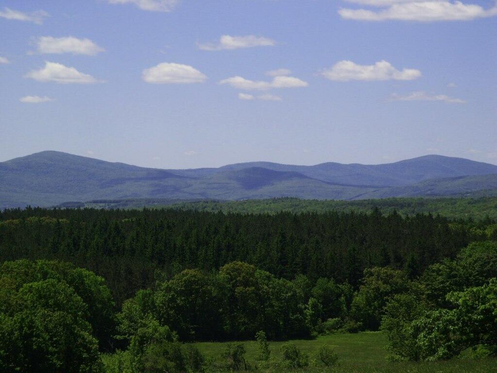 Photo: More Sky