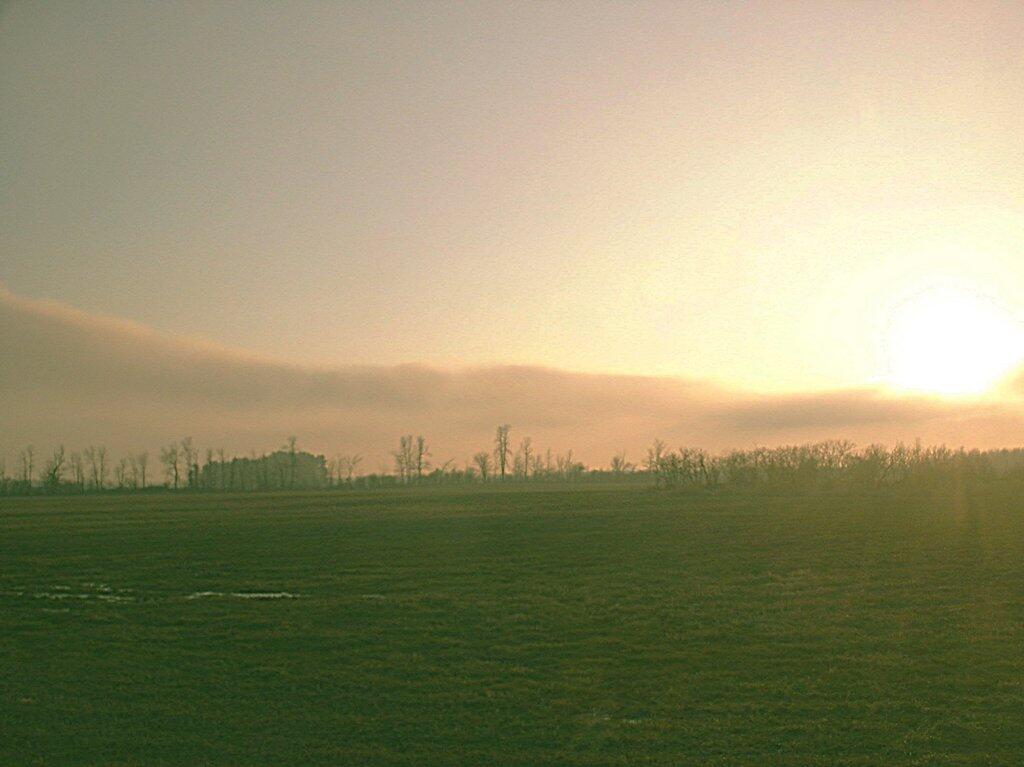 Photo: Sunset Over Field