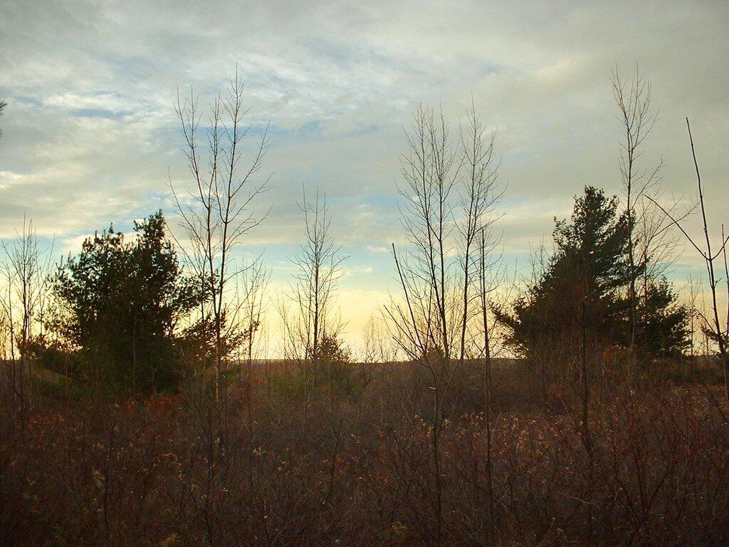 Photo: Sunset Brush