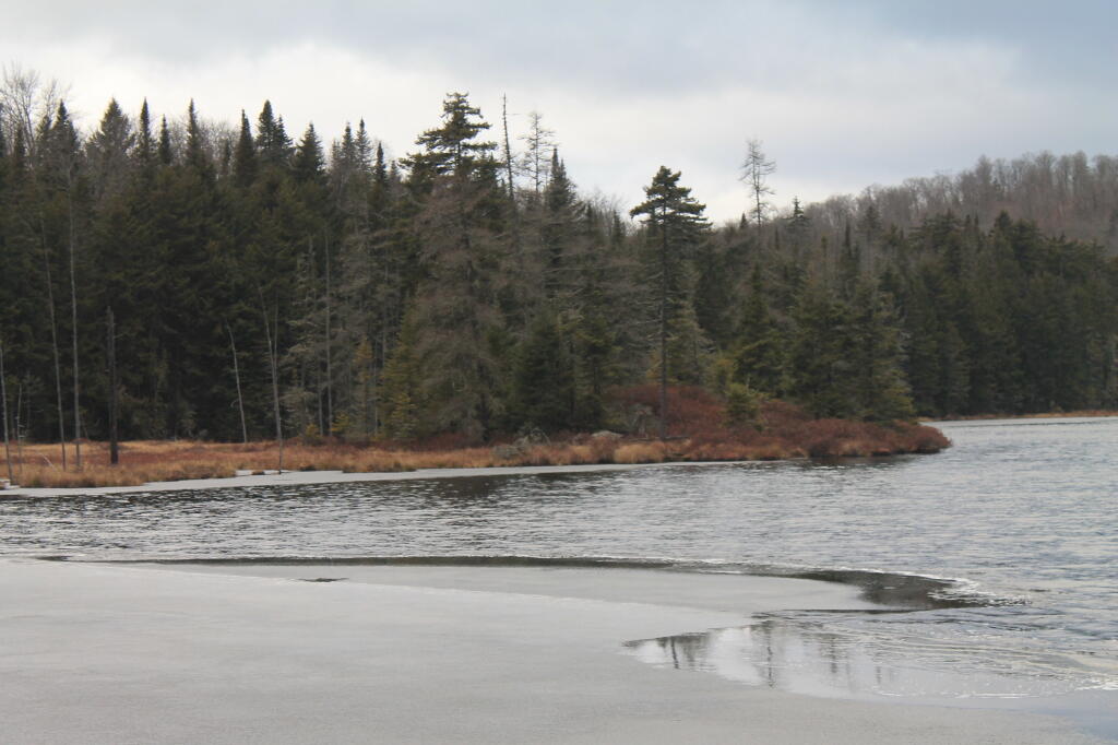 Photo: Rankin Pond is Freezing