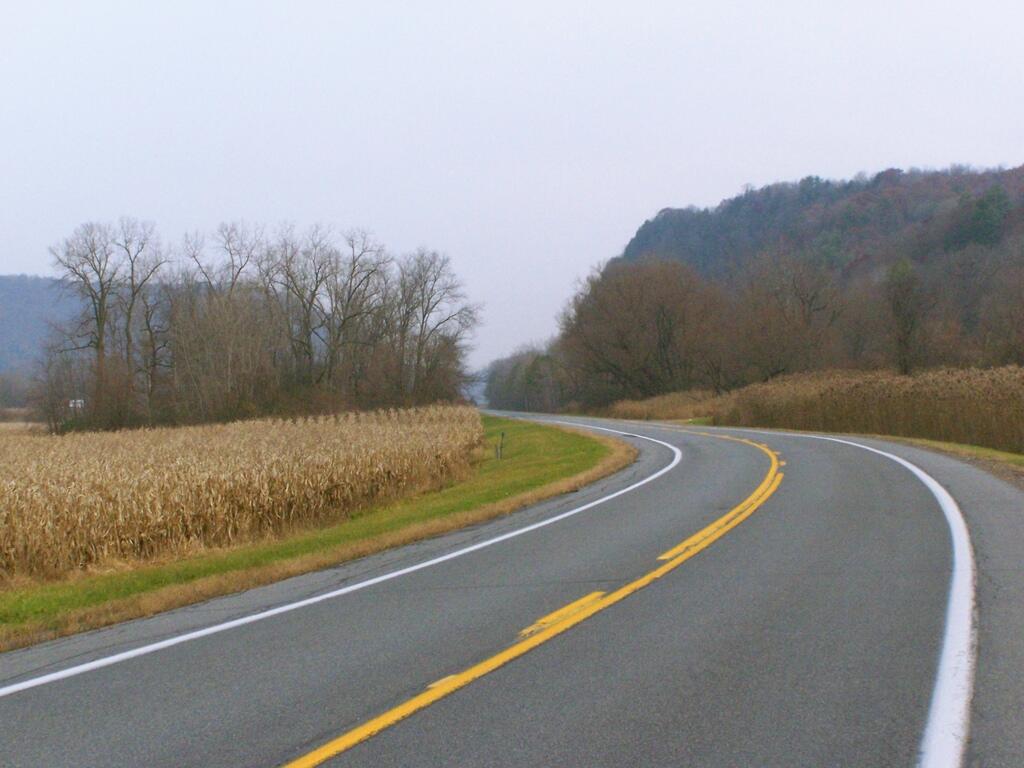 Photo: Marshes