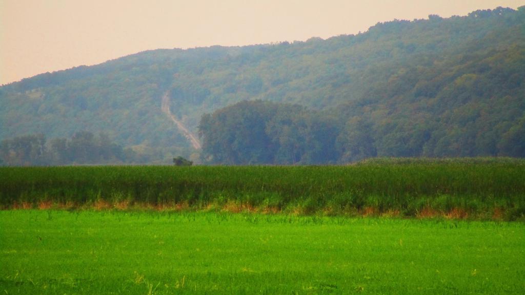 Photo: Hazy Saturday Evening at Catharine Creek Marsh
