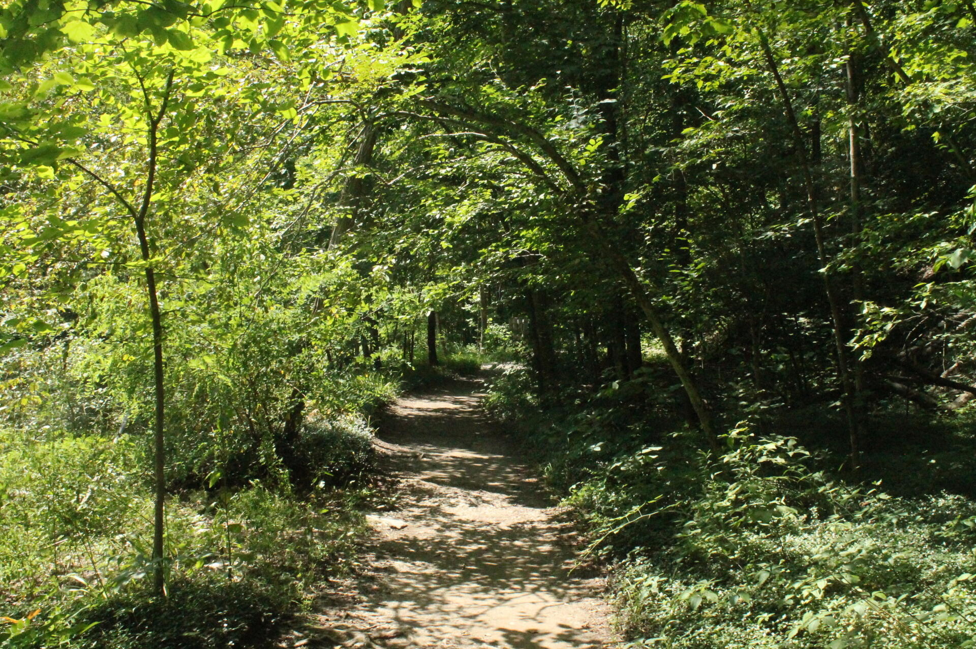 Photo: Quiet Hike | Andy Arthur.org