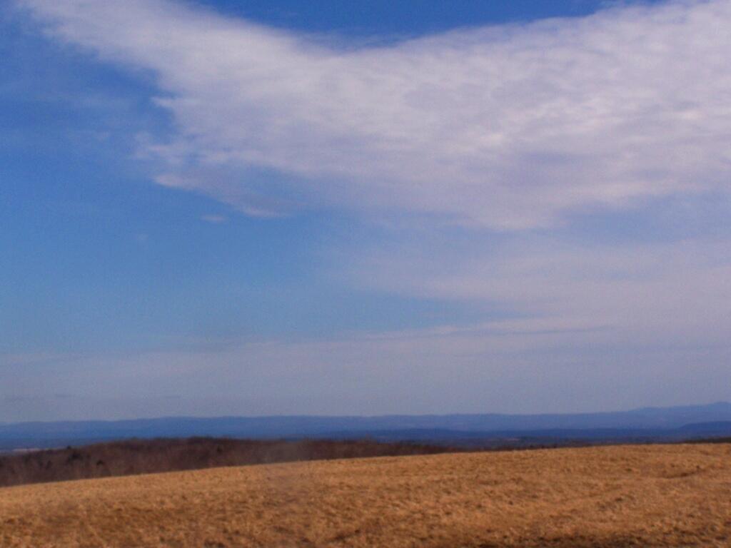 Photo: Hilltop