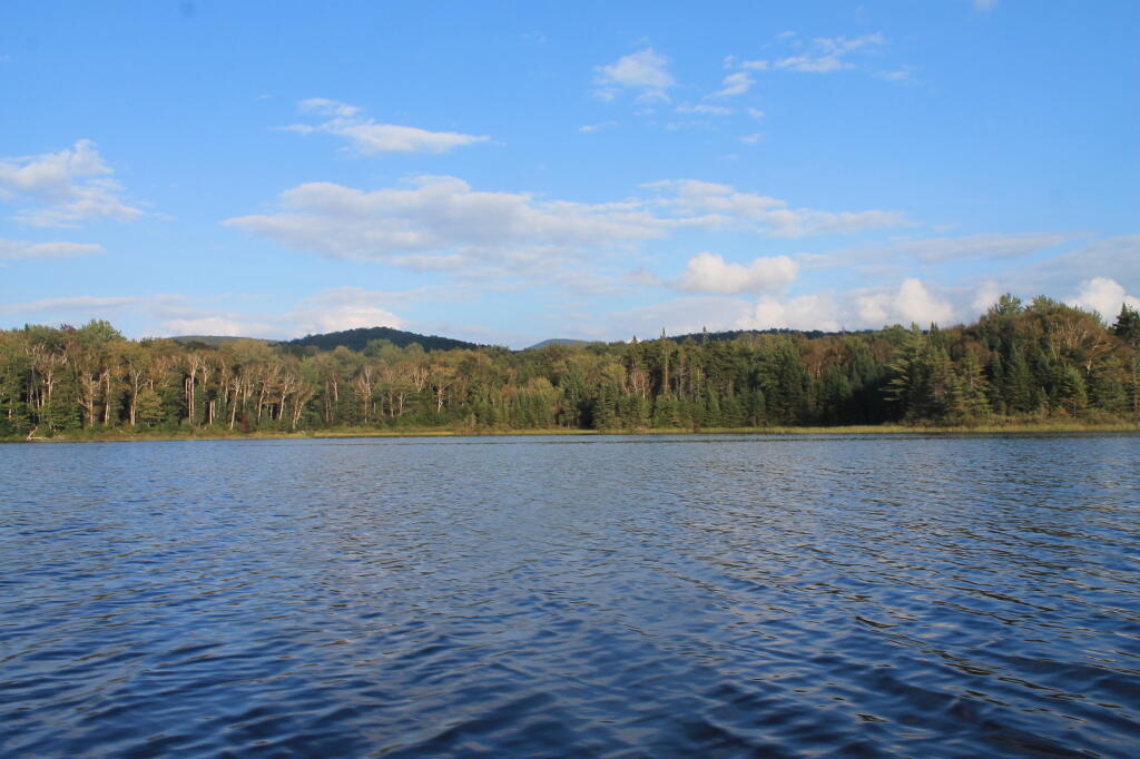 Cedar River Flow – Andy Arthur.org