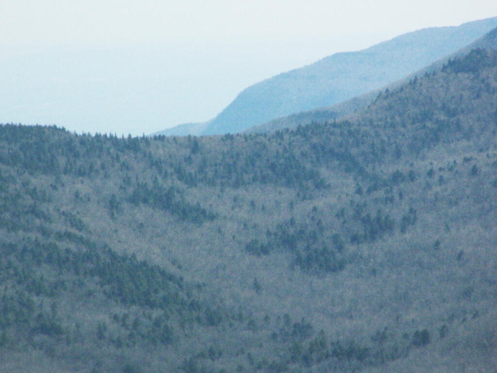 Photo: Ridges