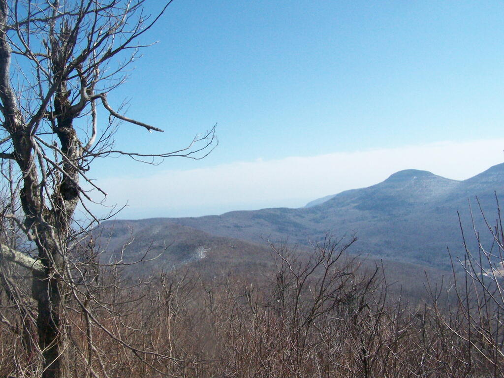 Photo: Looking South