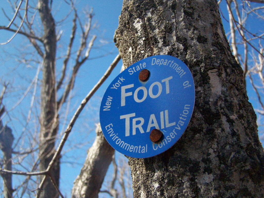 Photo: Foot Trail
