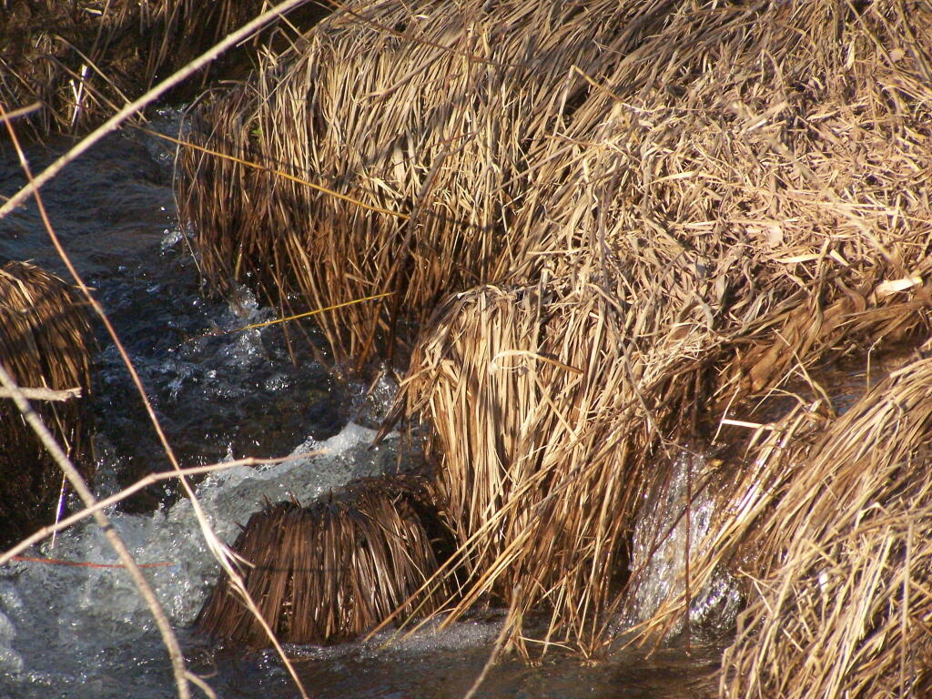Photo: Melt Water