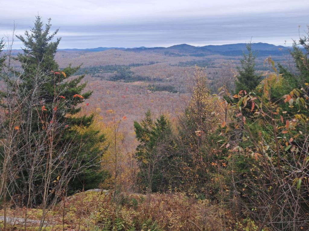 Photo: Northern Views Along Floodwood Road