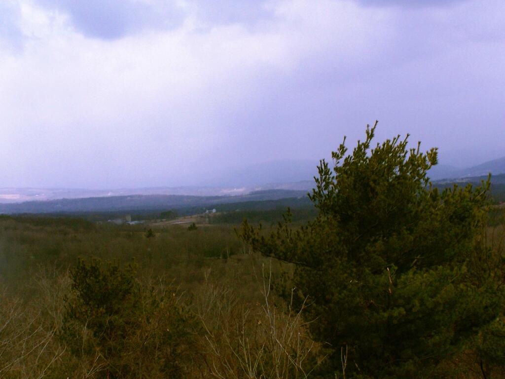 Photo: Frame 314