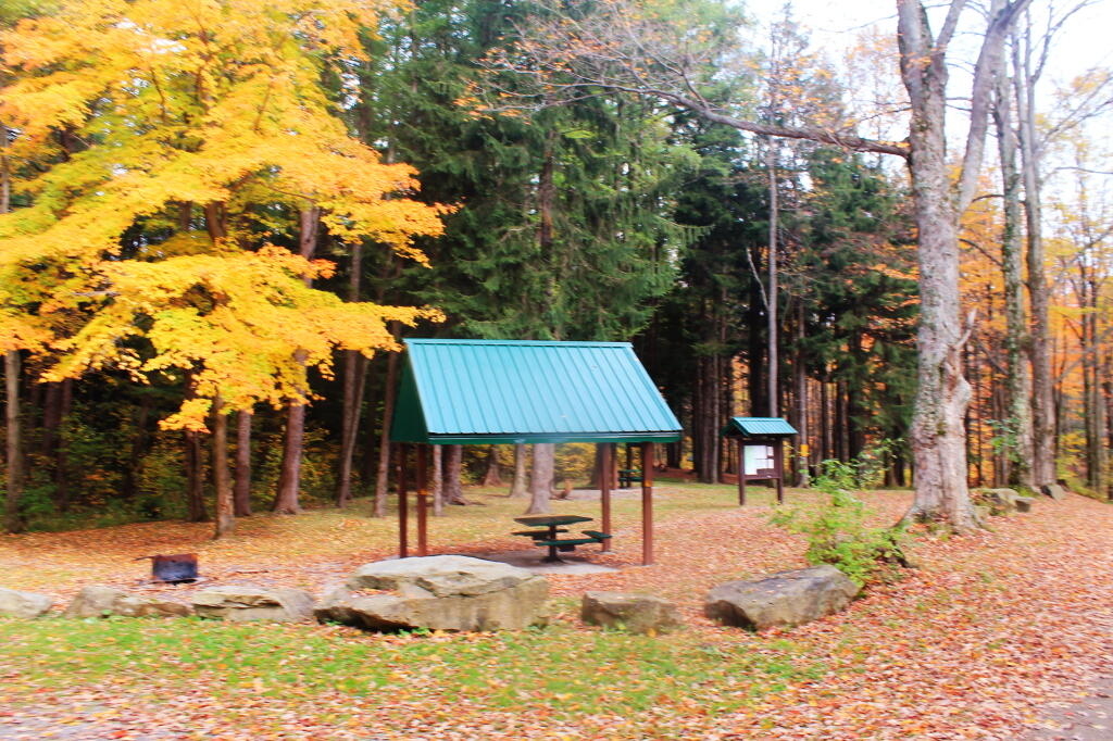 Chautauqua State Forest Andy