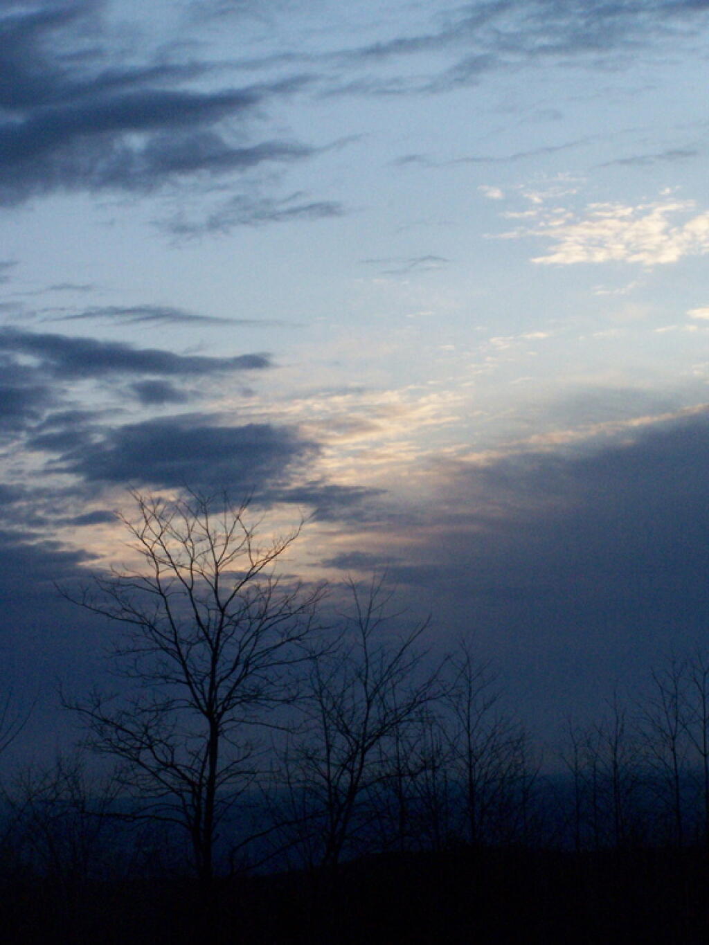 Photo: Clearing Out