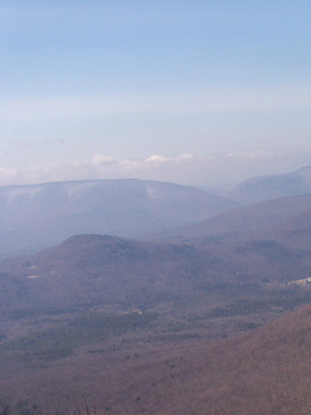 Photo: Purple Blue Mountains