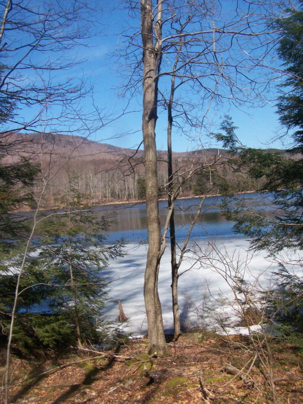 Photo: Across the Lake