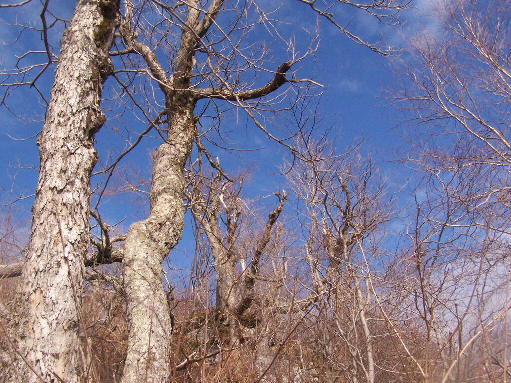 Photo: Clearing Skies