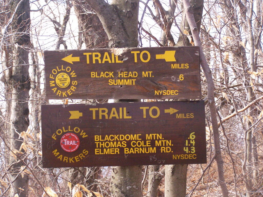 Photo: Trail Choices