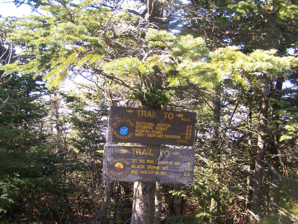 Photo: Blackhead Signs