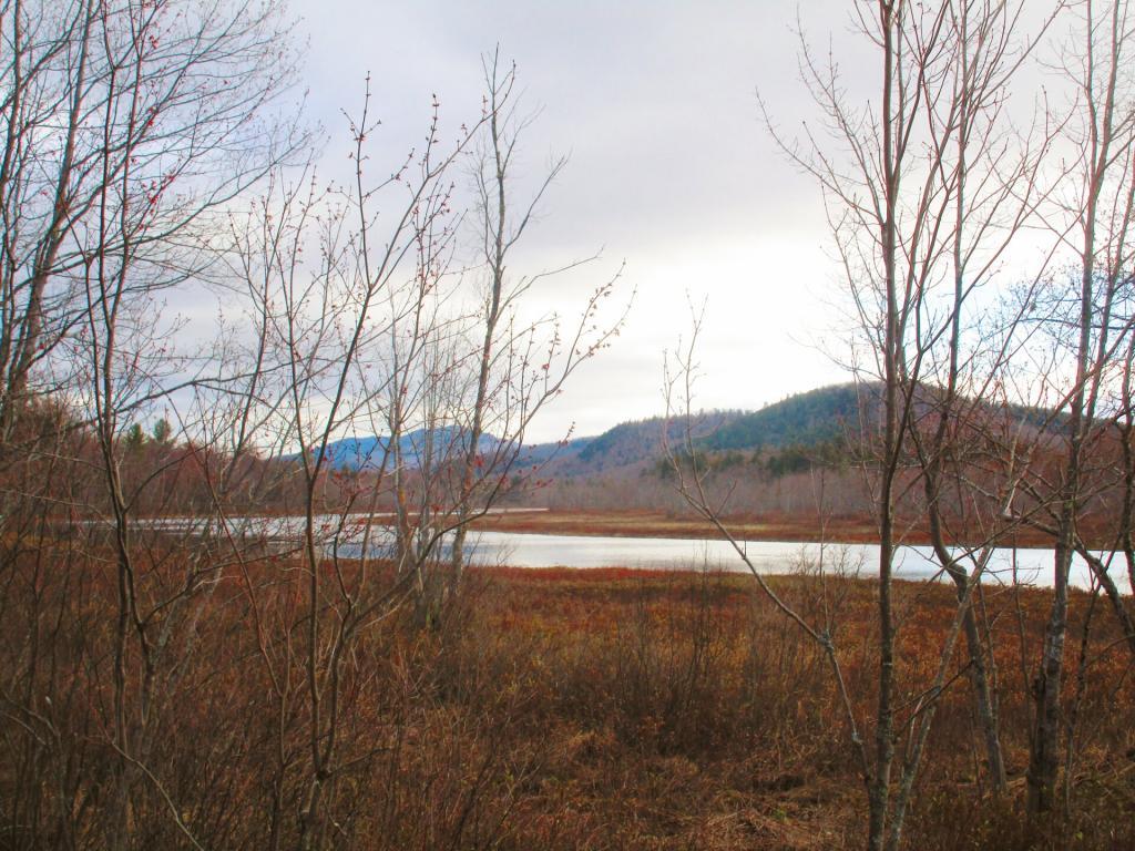 Photo: Cold Morning Along the Sacandaga River