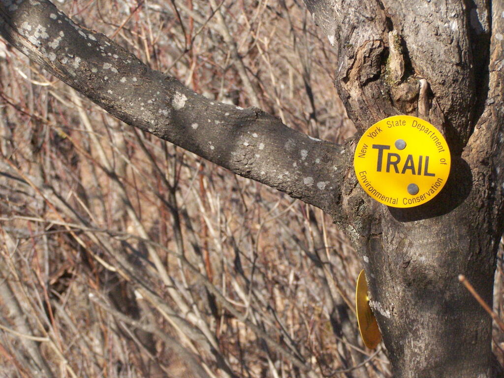 Photo: Yellow Trail