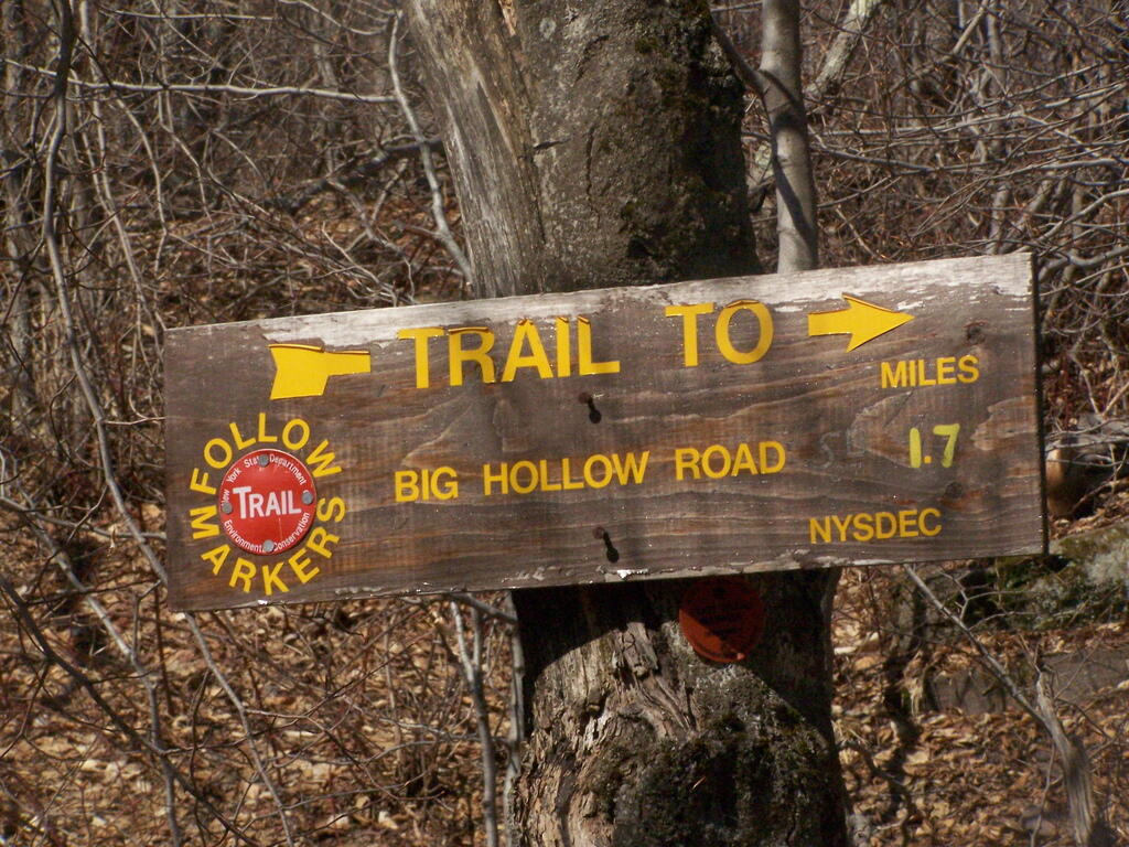 Photo: Big Hollow Rd