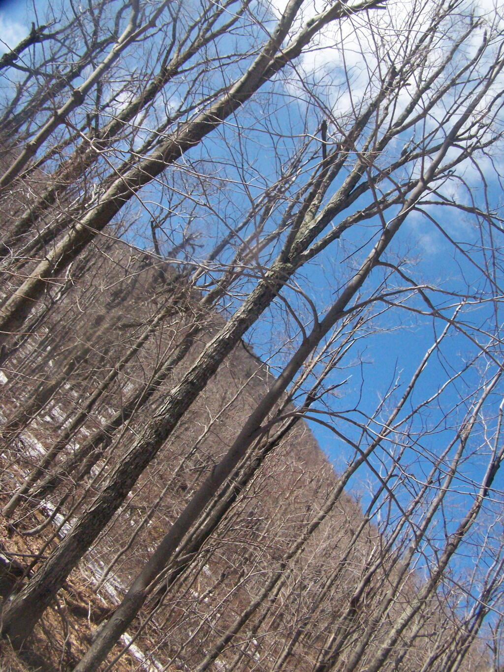 Photo: Blue Skies