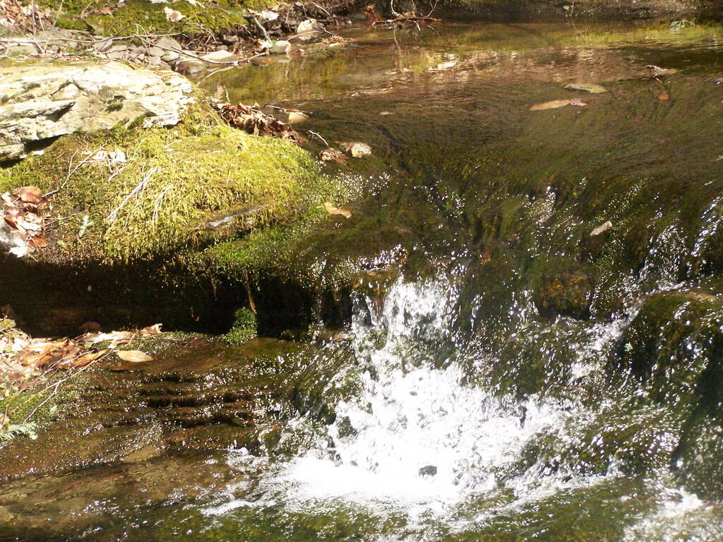 Photo: Stream Water
